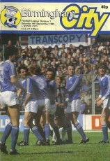 Birmingham City v Stoke City