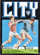 Leicester City v Brighton & Hove Albion