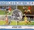 Brighton & Hove Albion v Stoke City