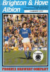 Brighton & Hove Albion v Cardiff City