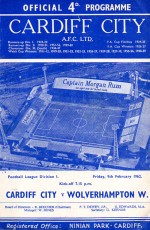 Cardiff City v Wolverhampton Wanderers
