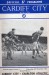 Cardiff City v Charlton Athletic