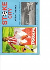 Stoke City v Crystal Palace