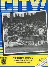 Cardiff City v Crystal Palace