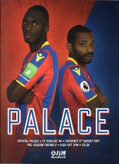 Crystal Palace v Schalke