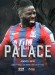Crystal Palace v Newcastle United