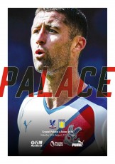 Crystal Palace v Aston Villa