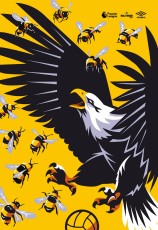 Brentford v Crystal Palace