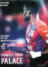 Crawley Town v Crystal Palace