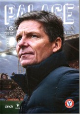 Crystal Palace v Aston Villa