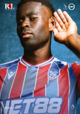 Crystal Palace v Brighton & Hove Albion