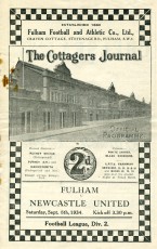 Fulham v Newcastle United
