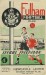 Fulham v Newcastle United