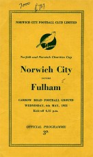 Norwich City v Fulham
