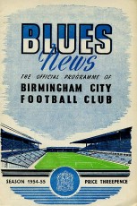 Birmingham City v Fulham
