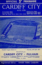 Cardiff City v Fulham