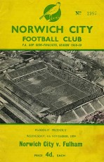 Norwich City v Fulham