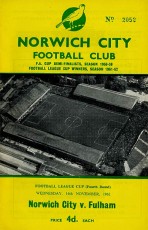 Norwich City v Fulham