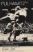 Fulham v Stoke City