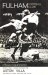 Fulham v Aston Villa