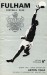 Fulham v Aston Villa