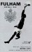 Fulham v Stoke City