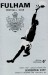 Fulham v Leicester City