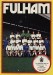 Fulham v Plymouth Argyle