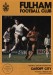 Fulham v Cardiff City