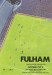 Fulham v Stoke City