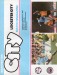 Manchester City v Leicester City