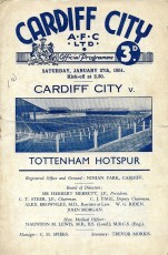 Cardiff City v Tottenham Hotspur