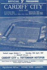 Cardiff City v Tottenham Hotspur