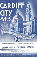 Cardiff City v Tottenham Hotspur