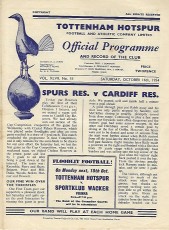 Tottenham Hotspur v Cardiff City