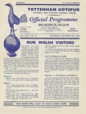Tottenham Hotspur v Cardiff City