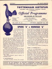 Tottenham Hotspur v Norwich City