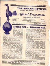 Tottenham Hotspur v Fulham
