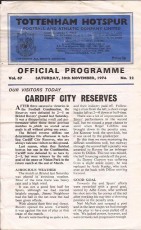 Tottenham Hotspur v Cardiff City