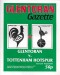 Glentoran v Tottenham Hotspur