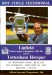 Linfield v Tottenham Hotspur