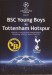 Young Boys Berne v Tottenham Hotspur