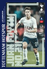 Tottenham Hotspur v Wimbledon