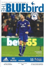 Cardiff City v Tottenham Hotspur