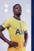 Tottenham Hotspur v Fulham