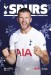 Tottenham Hotspur v Liverpool