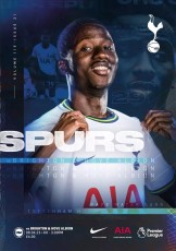 Tottenham Hotspur v Brighton & Hove Albion