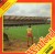 Watford v Wimbledon