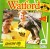 Watford v Leicester City