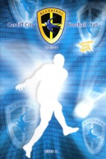 Cardiff City v West Bromwich Albion